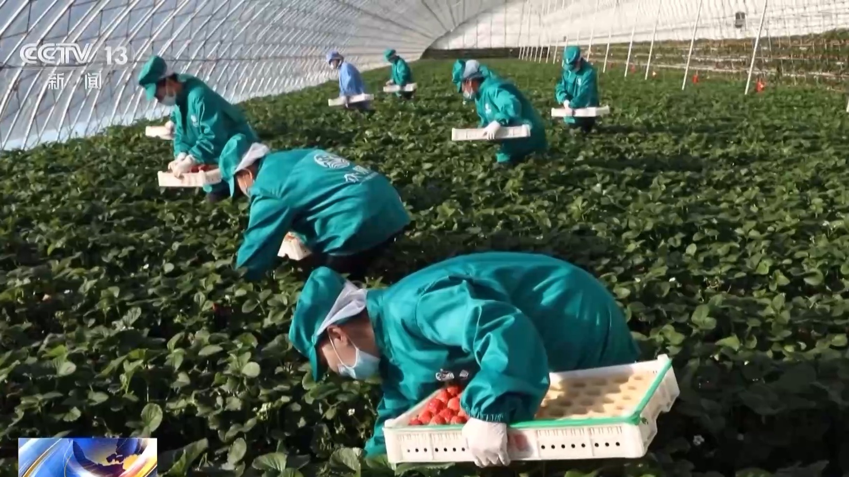 “降低物流成本”今年该怎么干？《政府工作报告》明确了→6