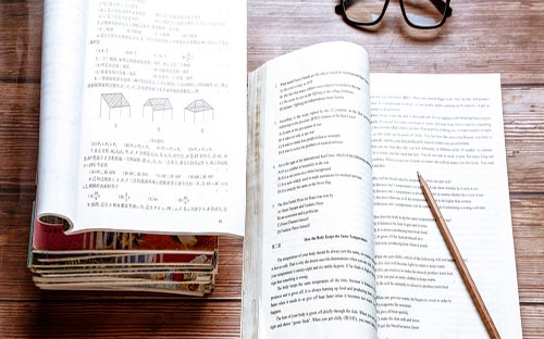 24年英国物流专业深度解析